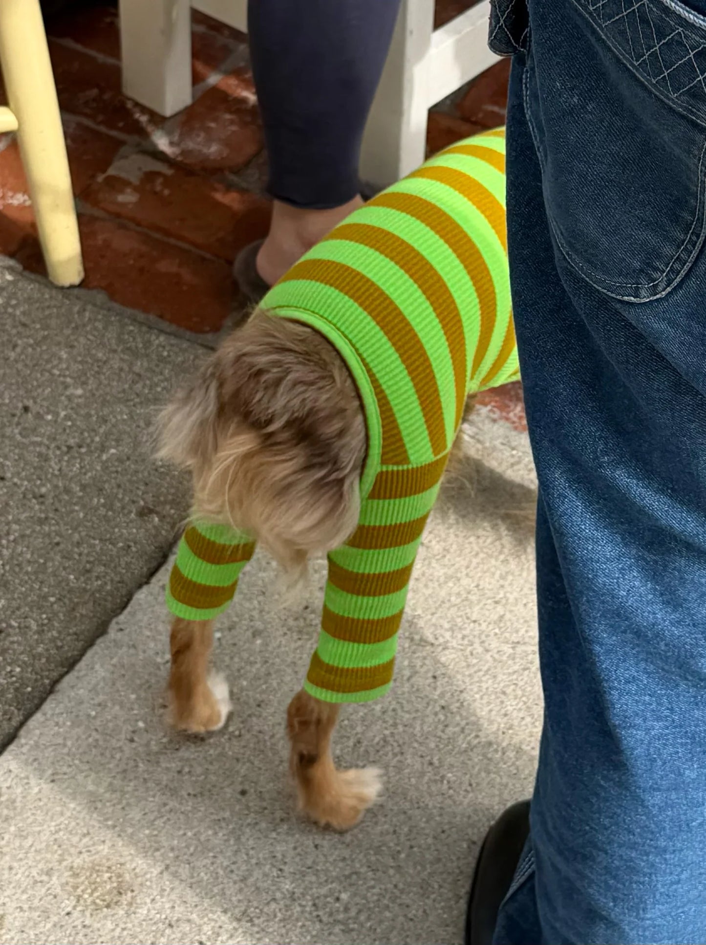 Fresh Grass Onesie