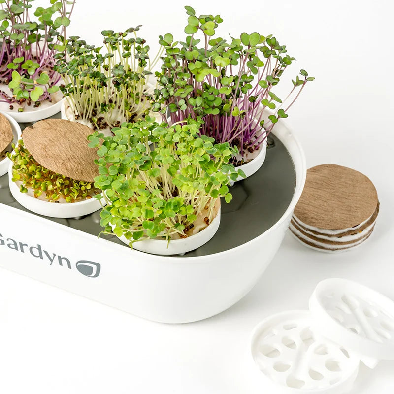 Microgreens Complete Kit (includes Sprout Nursery)