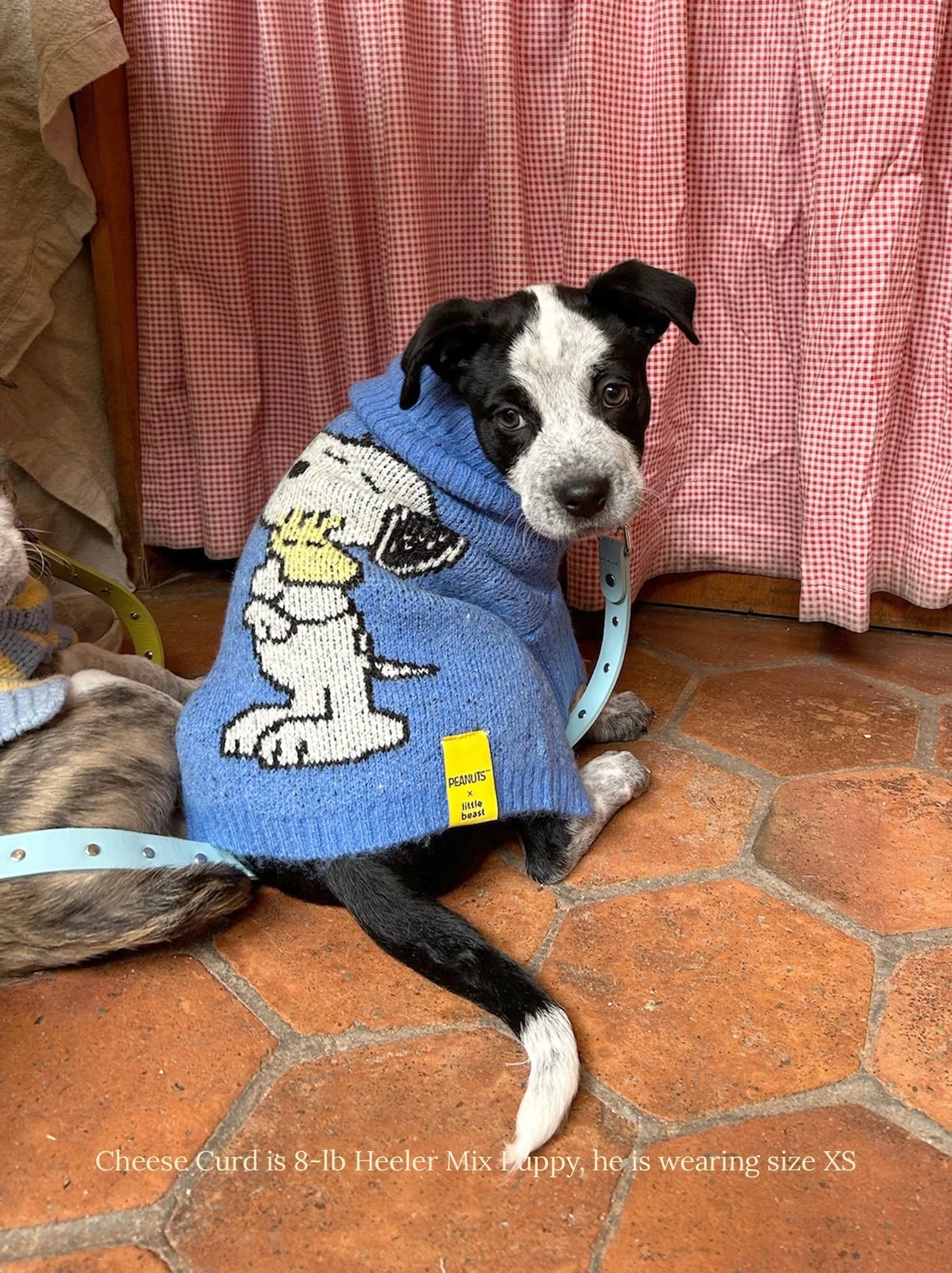 A Snoopy Sweater - PEANUTS