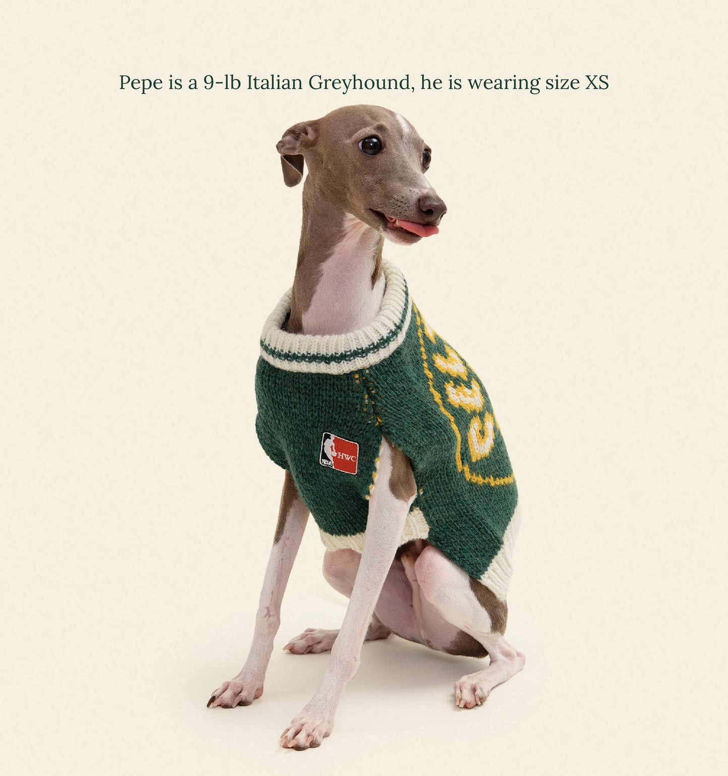 Boston Celtics Dog Sweater - NBA