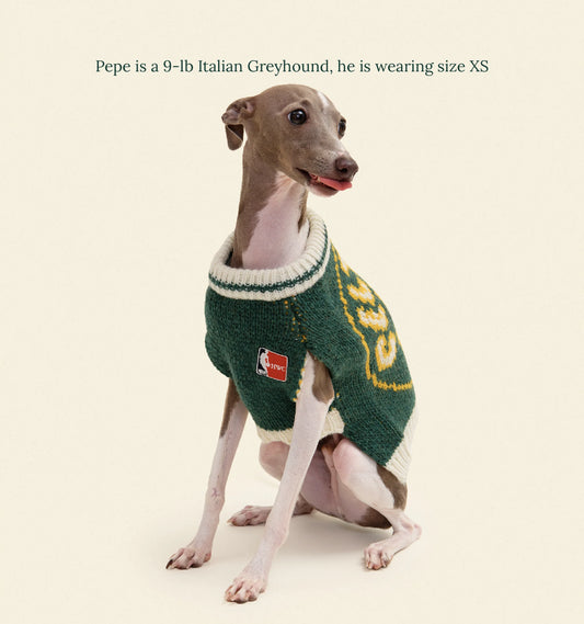 Boston Celtics Dog Sweater - NBA