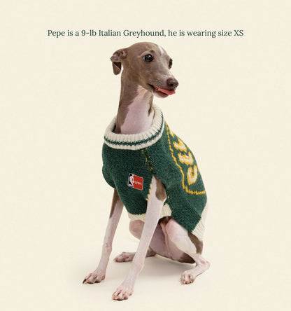 Boston Celtics Dog Sweater - NBA