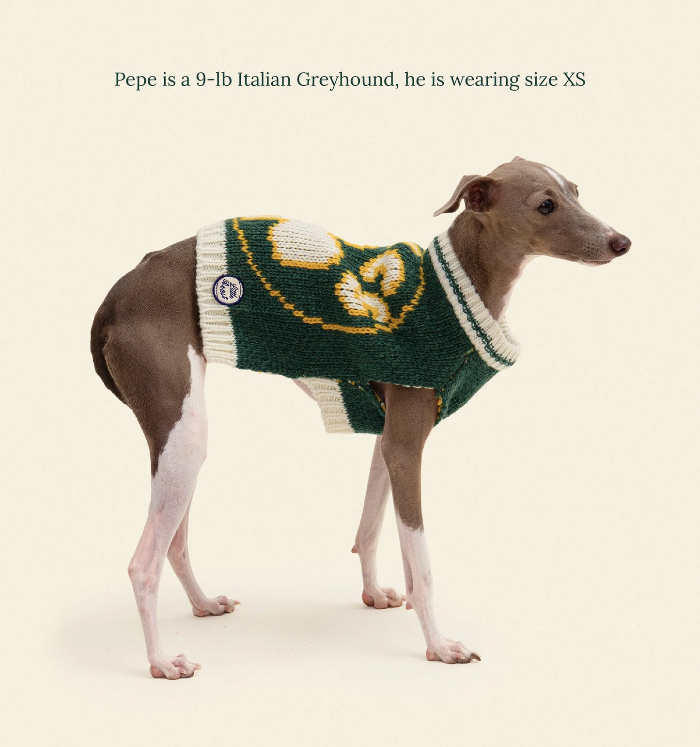 Boston Celtics Dog Sweater - NBA