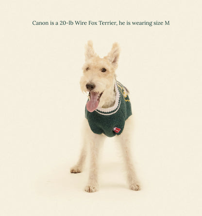 Boston Celtics Dog Sweater - NBA