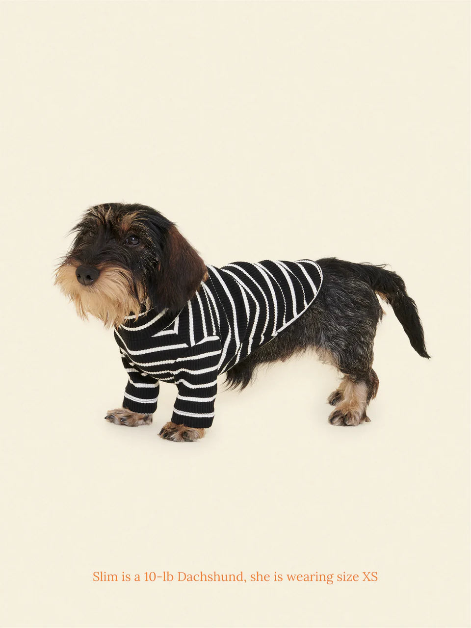 Café in Paris Sweatshirt