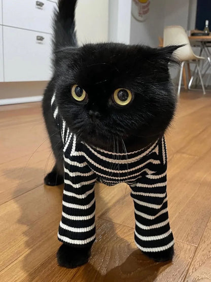 Café in Paris Sweatshirt