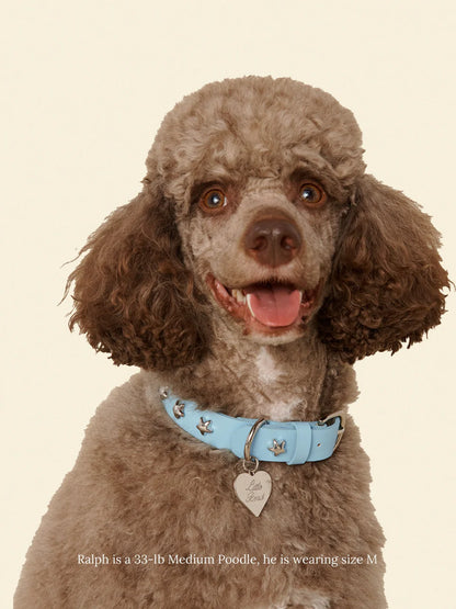 Cowboy Collar - Baby Blue