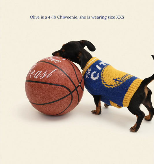 Golden State Warriors Dog Sweater - NBA
