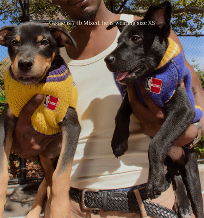 Golden State Warriors Dog Sweater - NBA