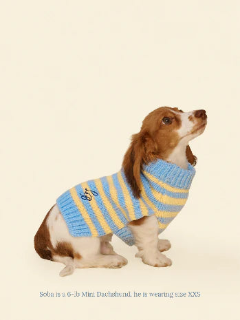 Harmony Sweater