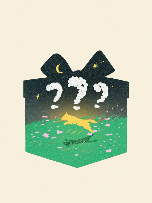 Mystery Box