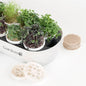 Microgreens Complete Kit (includes Sprout Nursery)