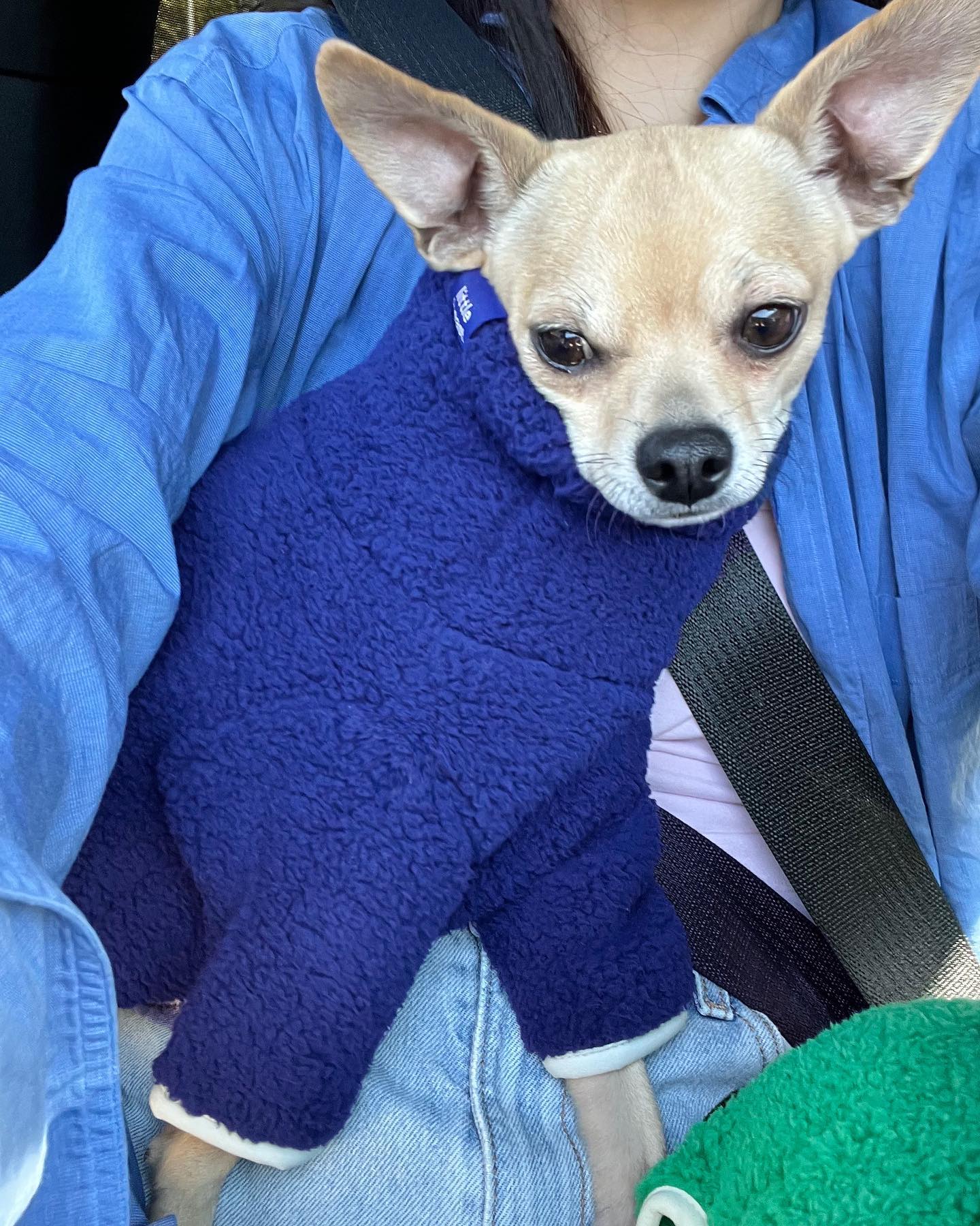 Royal Fleece Onesie